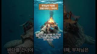 부처님의 전생이야기 #자타카#부처님전생#불교이야기#철학#자비#보살