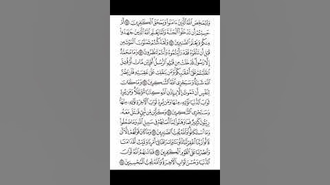 سورة آل عمران من الآية ١٤١ إلى الآية ١٤٨ - الشيخ إبراهيم الازهري