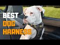 Best Dog Harness in 2020 - Top 6 Dog Harness Picks