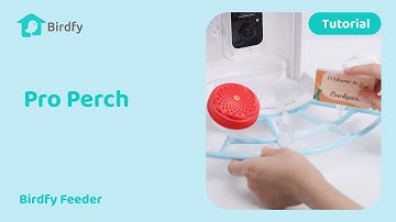 How to Assemble Your Birdfy Pro Perch - Birdfy Feeder Tutorial