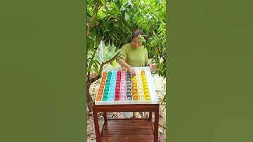 Color Ball Sort Puzzle Game Let