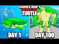 I Survived 100 Days as a TURTLE in Hardcore Minecraft!