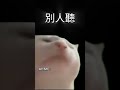 別人聽montage miau miau和我聽的分別...... #流量