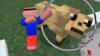 How to spawn pug screenshot 5