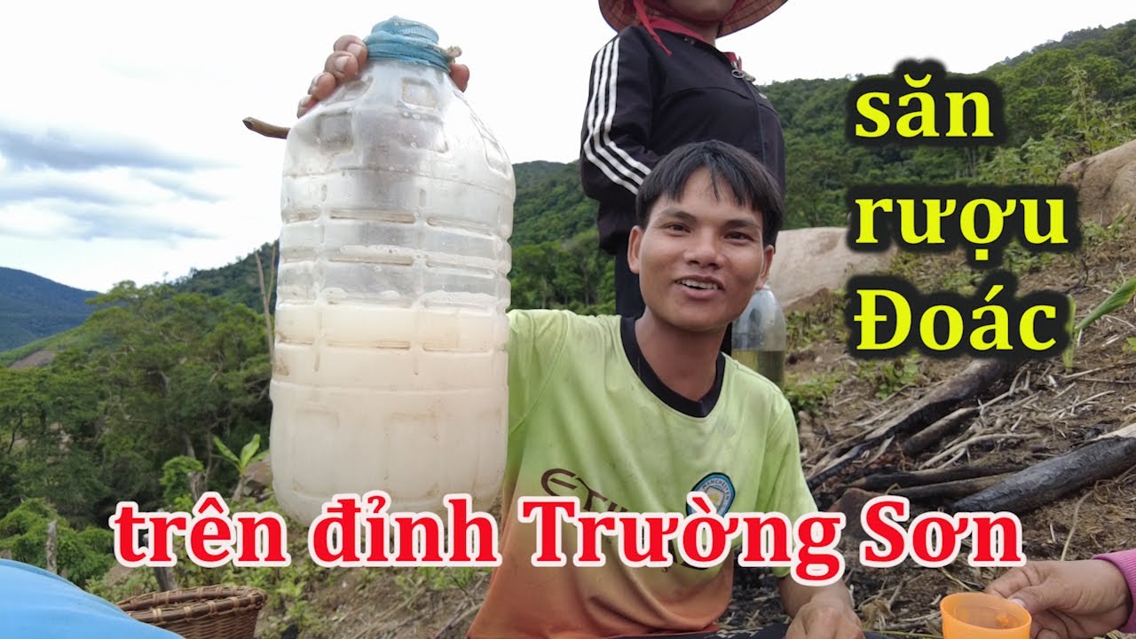Săn lùng rượu Đoác, thứ rượu trời quý hiếm trên đỉnh Trường Sơn.