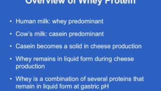 Chapter 3 - Gastrointestinal Related Issues & Solutions I