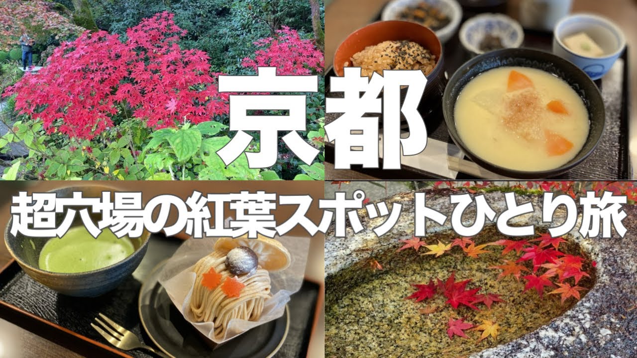 【京都紅葉観光🍁】女ひとり旅は紅葉スポットの知る人ぞ知る穴場を巡る極上ルートVlog