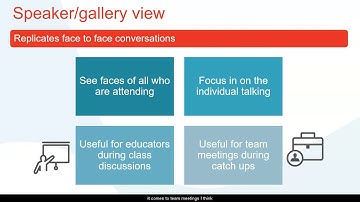Speaker and gallery view