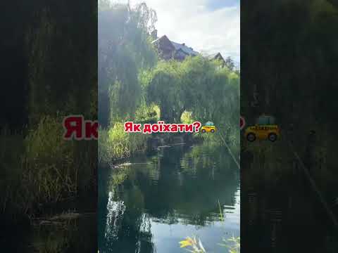 Українка прогулялася "Межигірʼям"