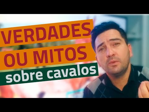 Vídeo: Verdade E Mitos Sobre Crina De Cavalo