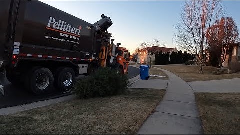 Pellitteri 536 Mack LR Labrie automizer on a cold morning