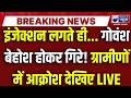 Hapur News: हापुड़ में गोवंशों को लगाए गए संदिग्ध इंजेक्शन! कई पशु बेहोश, जांच शुरू! | India News UP