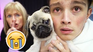 Selling Morgz's New Dog Prank!! **HE CRIED**