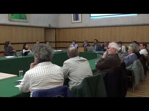 Conseil communal 25 mars 2019: vidéo