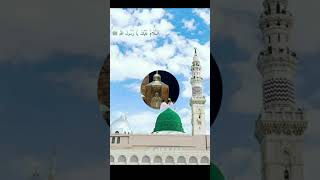 Muhammad Un Sayyad Un - Farhan Ali Qadri#islam #freepalestine#shorts#youtubeshorts #shortvideo#viral