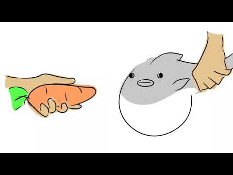 Pufferfish Eating A Carrot(Animation)