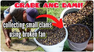 NAGULAT KAMI SA DAMI NG NAKUHA! || Harvesting Small Clams Using Broken Fan