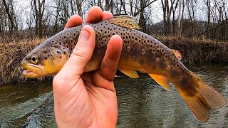 TROUT Fishing On a Cold Rainy Day