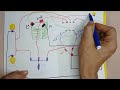 Learn Car Electrical Systems For Beginners Diagram For Connecting The Parking Switch To The Haz