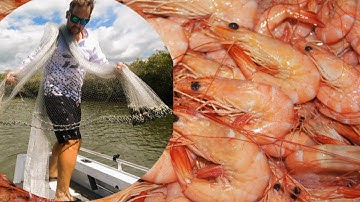 Prawning in a Creek - Cast netting Shrimp