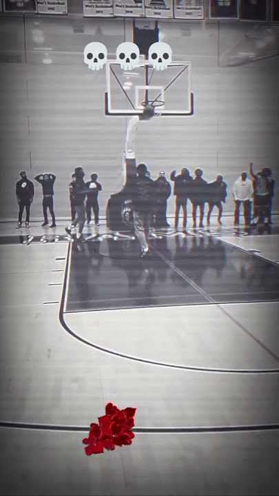 “INSANE BASKETBALL HIGHLIGHT'