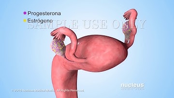 Píldoras de control de natalidad