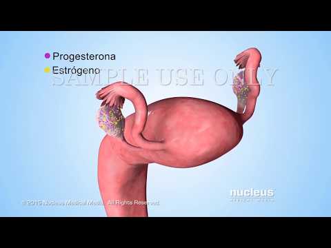 Video: ¿Las cefalosporinas afectan el control de la natalidad?