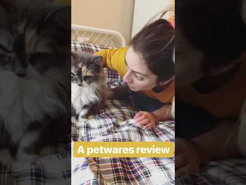 Product Review: Wahl Deshedding Glove for Pets