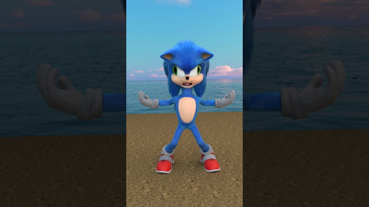 Birthday With Sonic !