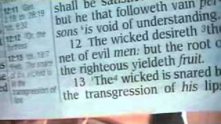 Proverbs 12 King James Holy Bible