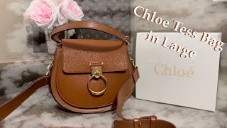 Reviewing the Chloe Tess bag in the Large size