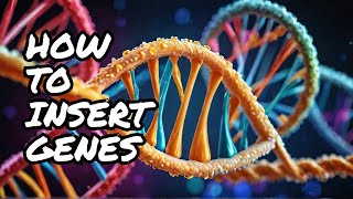 How Genes Are Inserted into Animal Cells