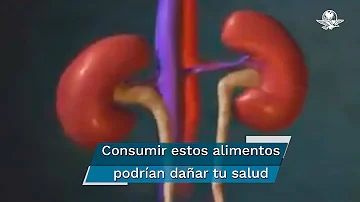 ¿Qué alimentos dañan los riñones?