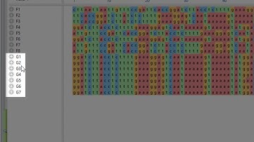 DNASTAR - Supported File Types in MegAlign Pro