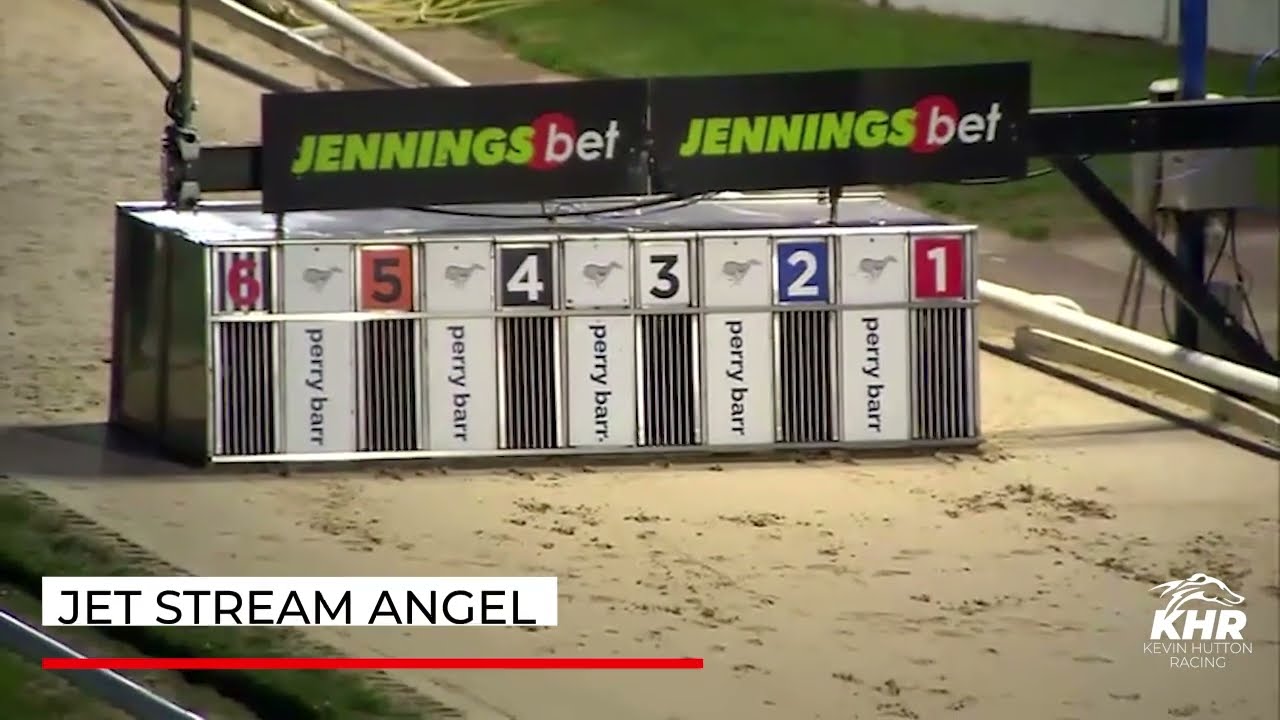 Jet Stream Angel - ARENA RACING COMPANY LAURELS HEAT 4