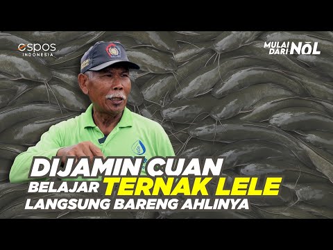 MAHASISWA UBAH LAHAN SEMPIT DI KONTRAKAN JADI KEBUN DAN TERNAK AYAM TANPA BAU | CERITA USAHA