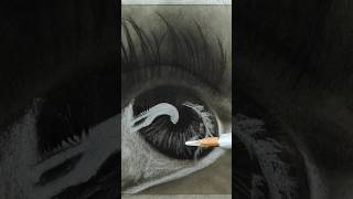 The Easiest Iris Ive Ever Drawn