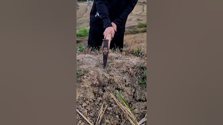 Cut everything soft and hard in half #camping #survival #bushcraft #outdoors