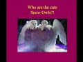 The Masked Singer: Snow Owls - Who is as who