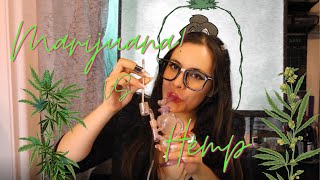 What is Marijuana vs Hemp?