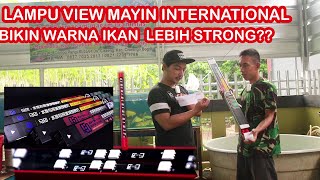 LAMPU VIEW MAYIN INTERNATIONAL BIKIN WARNA IKAN LEBIH STRONG???