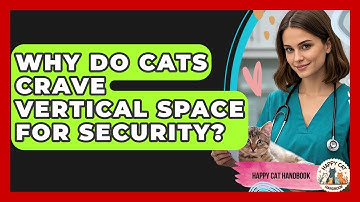 Why Do Cats Crave Vertical Space For Security? - Happy Cat Handbook