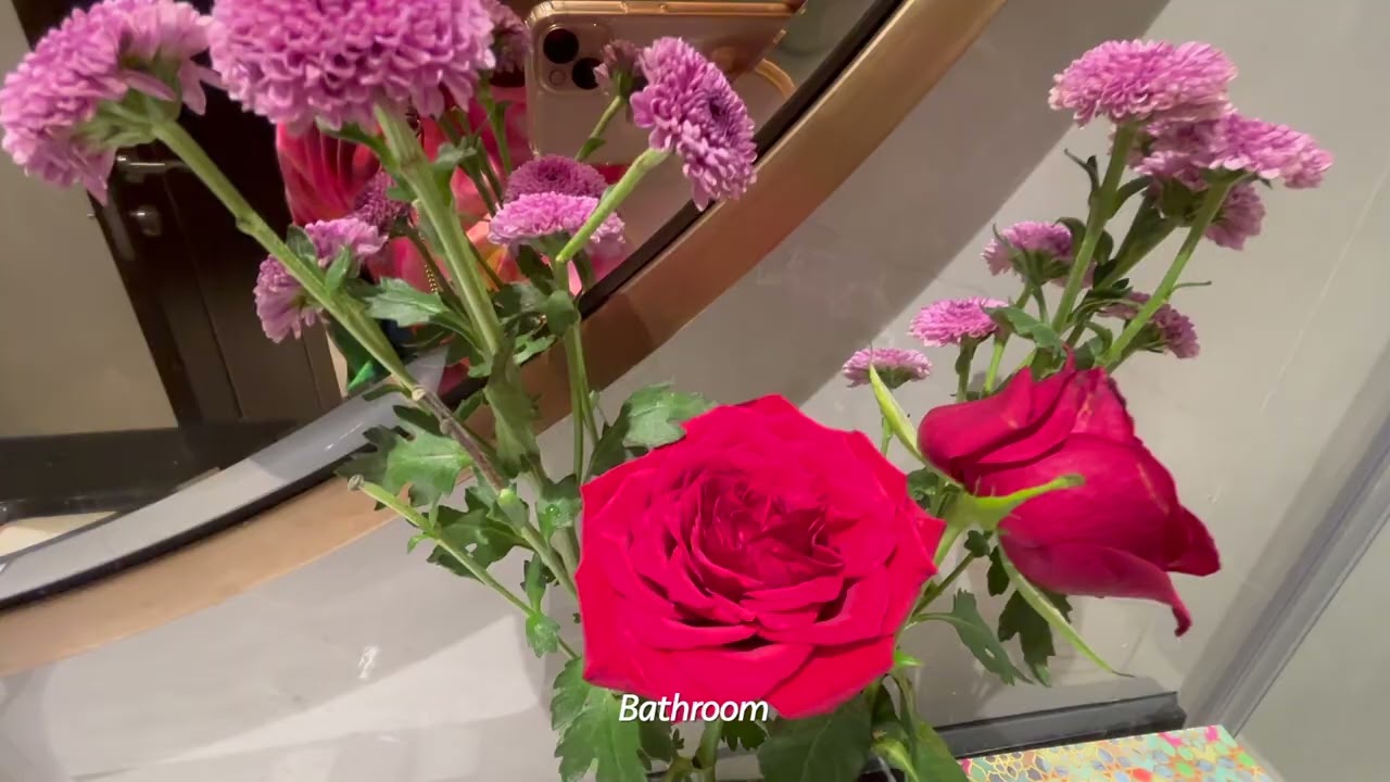 Best Gujarat Road Trip | Day 7 Kutch to Ahmedabad and Daman 