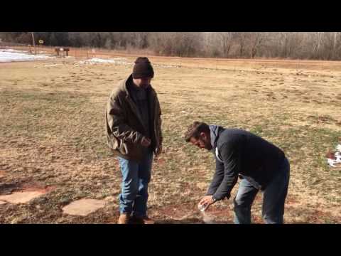 Spreading Marley's Ashes at Free to Live