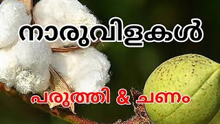 Fibrous Crops | നാരുവിളകൾ  | Kerala PSC Exam | LDC | arivinte angadi