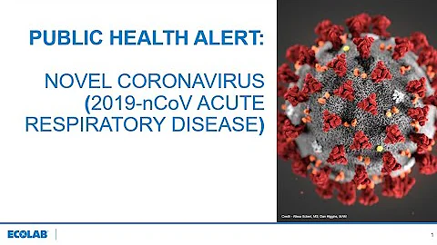 Public Health Alert: Novel Coronavirus 2019-nCoV primer by Ruth Petran - DayDayNews