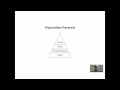 Understanding Population Pyramids and Predator-Prey Relationships
