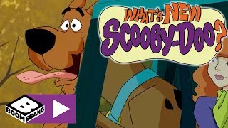 Scooby Doo Maceraları | Kozaların Gizemi | Boomerang