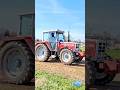 Steyr 8070 unter Last beim Test and Tune in Holzheim 2026