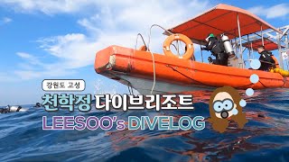 39 Log. 스쿠버다이빙 리조트 #1 강원도 고성 천학정 다이브리조트 / 이수의 다이브로그